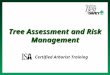 Isa training tree risk assessment & cabling bracing