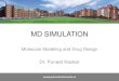MD Simulation