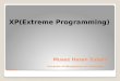 Xp(Xtreme Programming) presentation