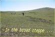 Steppe, prairie, savanna and pampa