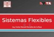 Sistemas flexibles