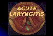 E.N.T.Acute laryngitis.(dr.usif chalabe)