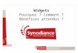 Synodiance > Widgets - Conférence Paris Forum e-marketing 30/01/2008