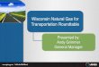 Natural Gas Roundtable - ANGI Energy Systems Presentation