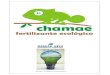 Chamae Fertilizante Ecologico Biomimetismo Biodinámica Biodisponibilidad