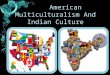 American multiculturalism and Indian culture