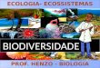 Ciências [ecologia]   biosfera e ecologia [henzo]