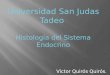Histologia Sistema endocrino