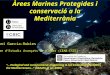 Àrees Marines Protegides i conservació a la Mediterrània (ub ceab-csic)