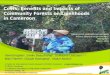 Costs, benefits and impacts of community forests on livelihoods in Cameroon
