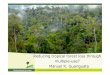 Reducing tropical forest loss through multiple use?