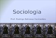 Apresentação aulas sociologia 2011