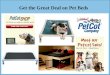 Get the Top Rated Dog Beds for your Pet