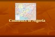 Presentation_ Comestics in Nigeria.ppt