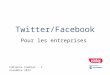 Formation Ecobiz Twitter / Facebook pour les entreprises - novembre 2013
