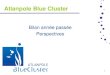 Présentation Atlanpole Blue Cluster
