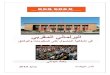 Rapport parlementaires et accès à l'information en arabe