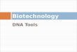 Biotechnology   basic techniques