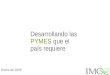 Sectores Económicos / PYMES: Pymes que requiere méxico (2009)