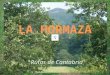 La Hormaza