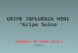 GRIPE SUNA TIPO H1 N1 - INFLUENZA
