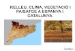 0   (1) relleu, clima, vegetaci³ i paisatge a espanya i catalunya