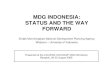 Indonesia mdg overview_bnk