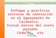 Enfoque y prácticas exitosas de innovación en frutales nativos del norte del Perú