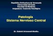 Clase Sistema Nervioso Central 2007