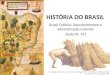 3° ano  - Brasil Colônia - aula 1 e 2 - apostila 1 c