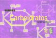 Nutrientes: Carboidratos