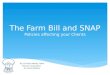 The farm bill 2013  stl food bank