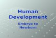 Human+development pvms