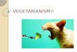 Vegetariansim for TESOL/TEFL/ESL