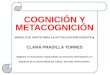 Cognicion y metacognicion