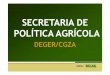 Lançamento NIT - Secretaria de Política Agrícola