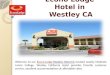 Econo Lodge Hotel in Westley CA