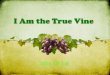 1501 08 i am the true vine