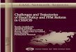 CASE Network Report 92 - Challenges and Trajectories of Fiscal Policy and PFM Reform in CEE/CIS
