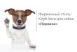 Identity for dog yoga club baryshnikova irina