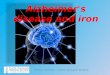 Alzheimer's disease and iron