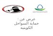 مشروع حماية السواحل الكويتية