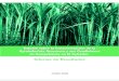 Estudio sectorial de competencia agroindustria azucarera