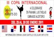 Torneo 2011 pw