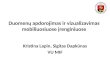Lapin, Kristina ; Dapkūnas, Sigitas „Duomenų apdorojimas ir vizualizavimas mobiliuosiuose įrenginiuose“ (VU)