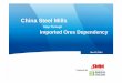 Cristina Xu, Shanhai Metals Market (SMM) - Supply & Demand of Chinese iron ore Market in 2014-2030