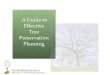 Guide to Effective Tree Preservation Planning
