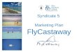 Mba Marketing Management Fly Castaway Marketing Plan 31 May 2010 Final