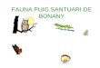 Fauna del puig de Bonany