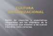 20090609 Cultura Organizacional